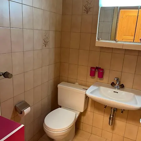 Heida, Ensoleille Au Village Avec Magnifique Vue Sur La Dent-blanche דירה Evolène